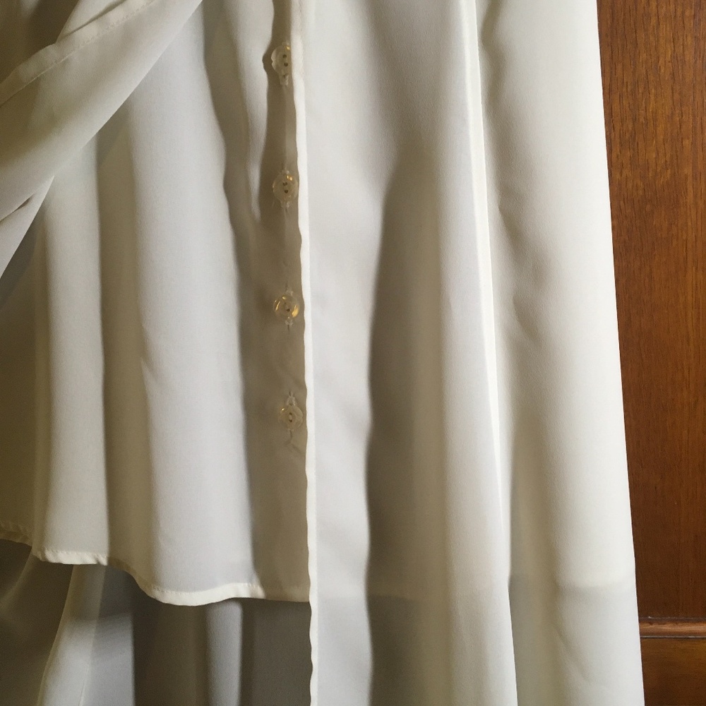 Off White Shear Crepe Event Dress - Picture 6 of 14